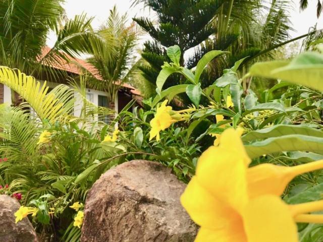 Bamboo Garden Resort ฟู้โกว๊ก ภายนอก รูปภาพ